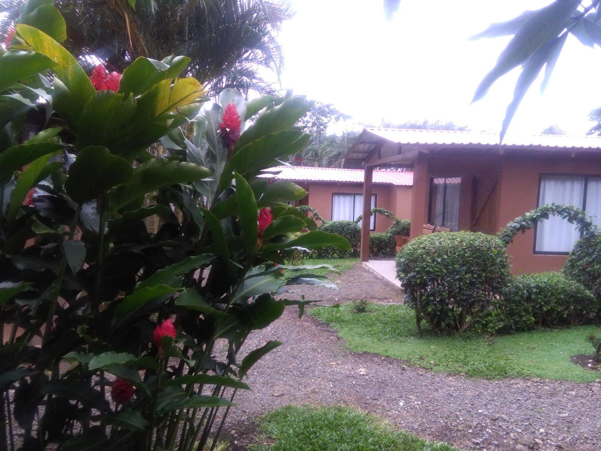 Slow Travel Lodge Upala Exterior foto