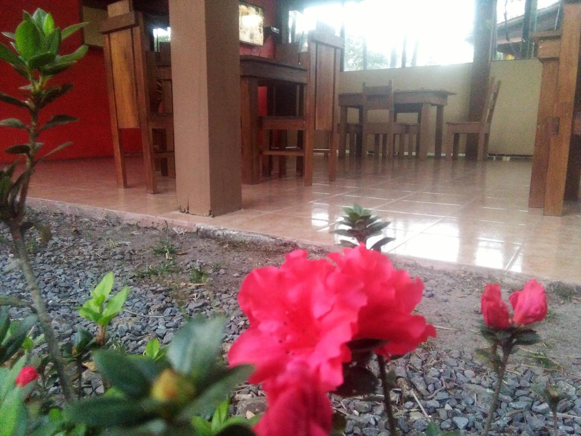 Slow Travel Lodge Upala Exterior foto